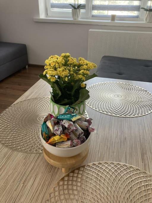 Apartament W Centrum Malborka Экстерьер фото