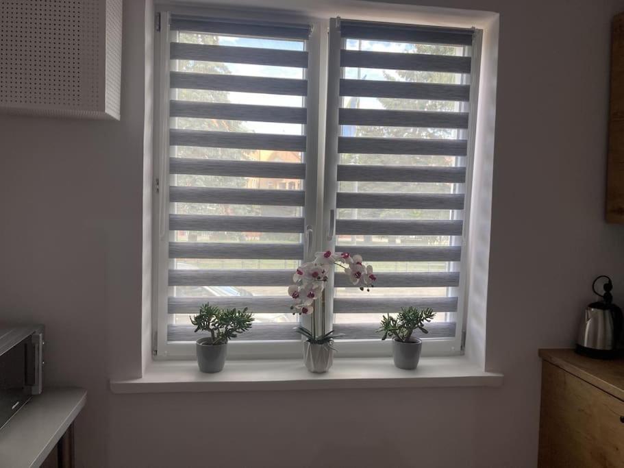 Apartament W Centrum Malborka Экстерьер фото